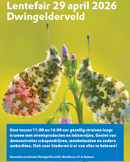 Lentefair 29 april Dwingelderveld